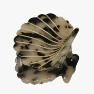 Scallop hiusklipsi ruskea
