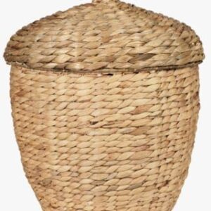 Acorn kori suuri luonnonväri